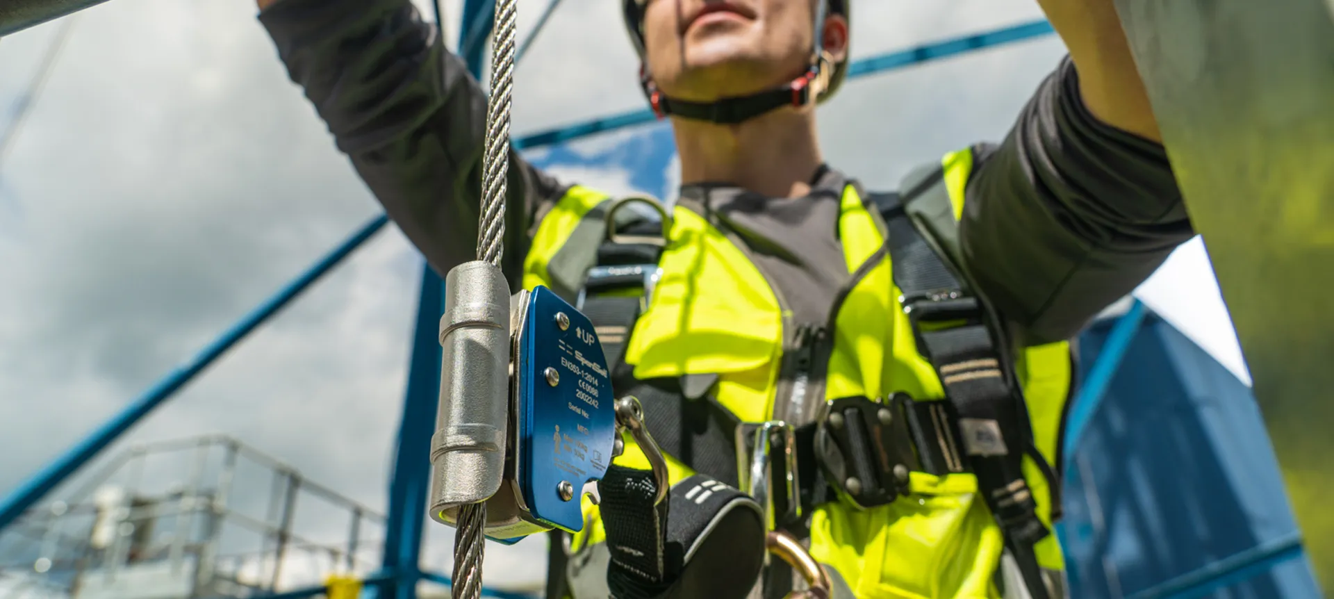 Harness training deals