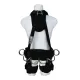 SpanSet HL-5P-01  Small picture 2