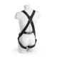 SpanSet X-2 MS  Small picture 1