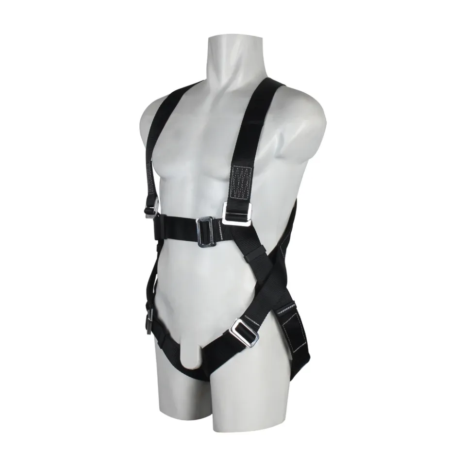 Main picture Harness 1Poin