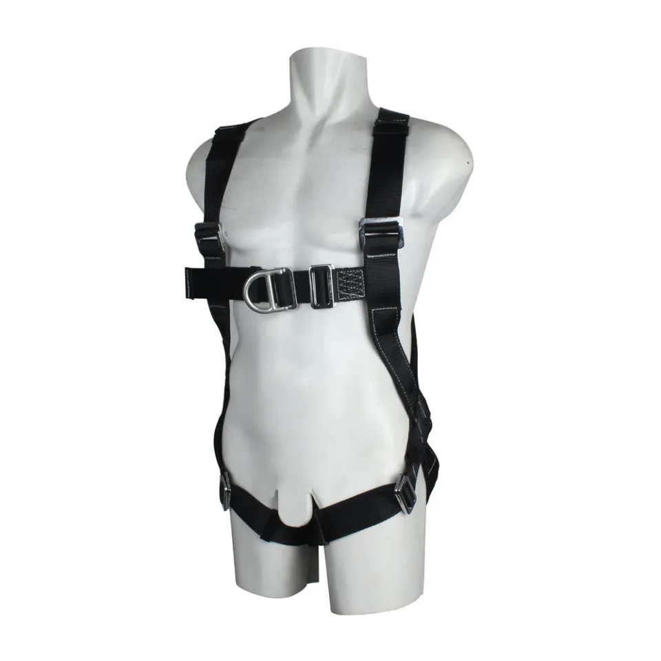 Main picture Harness 2Poin