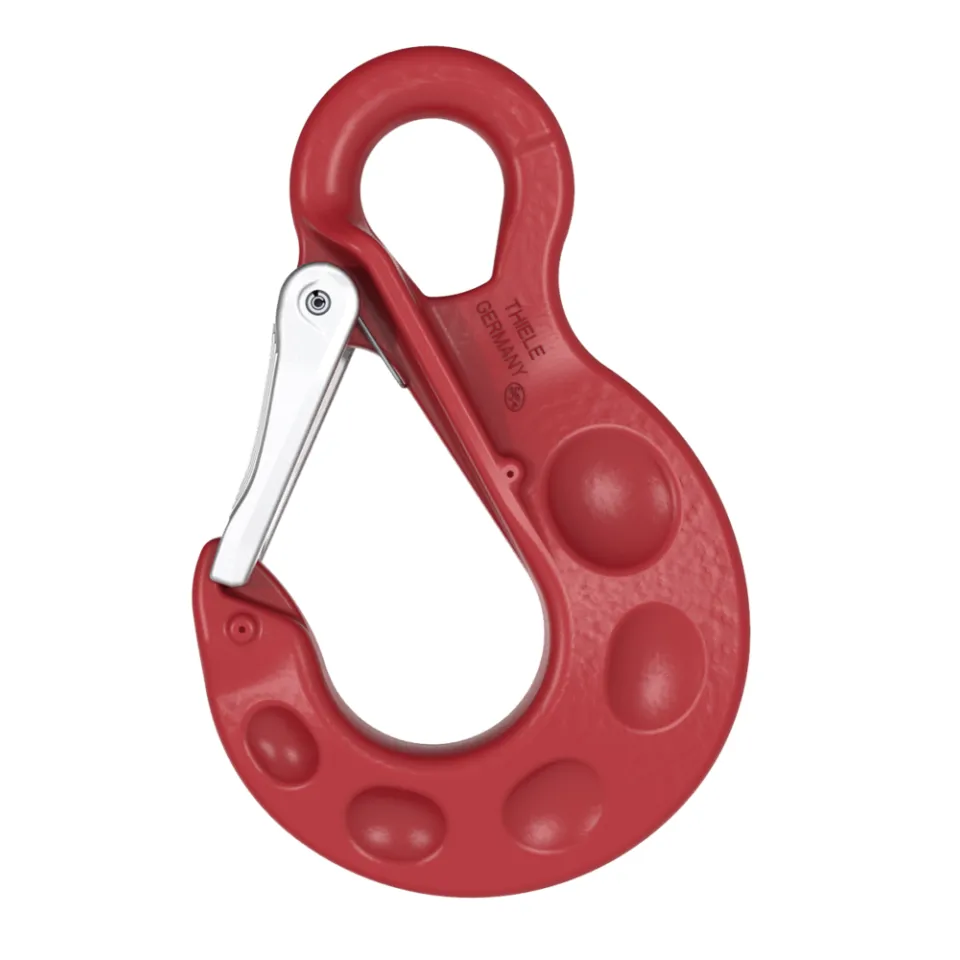 Main picture Eye Sling Hooks with Safety Latch