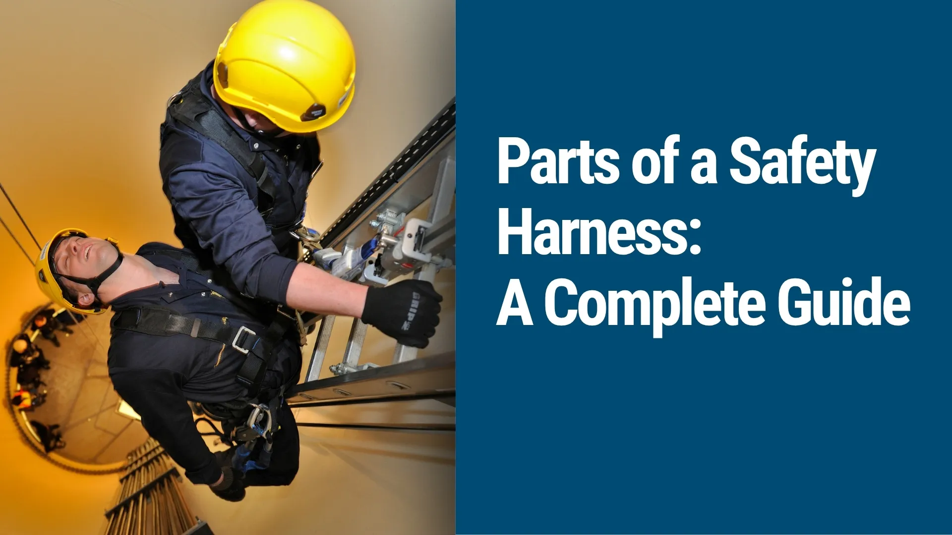 Parts of a Safety Harness: Complete Guide