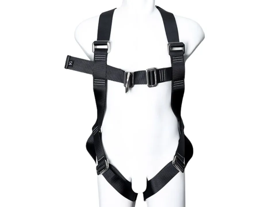 [Complete Guide] How to Care for a Harness