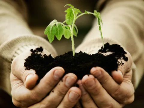 Environmental Awareness Training (online)