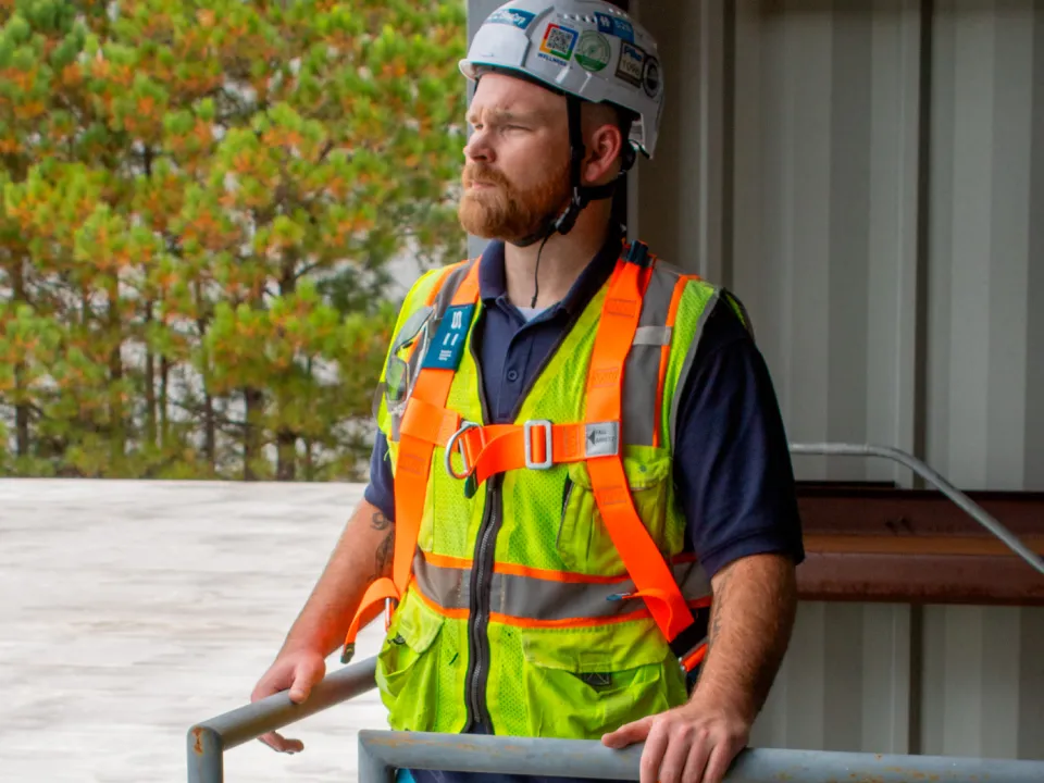 Getting to Know Harness, Types, and Parts